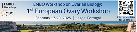 EMBO Workshop on Ovarian Biology: the 1st European Ovary Workshop